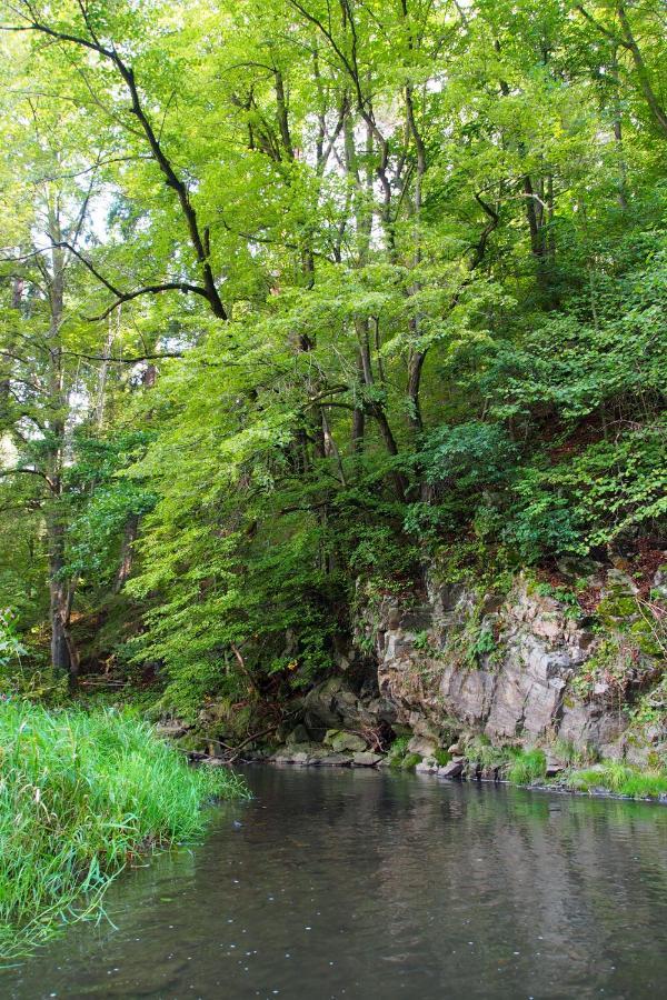 Camping Fox Cesky Krumlov Kájov エクステリア 写真
